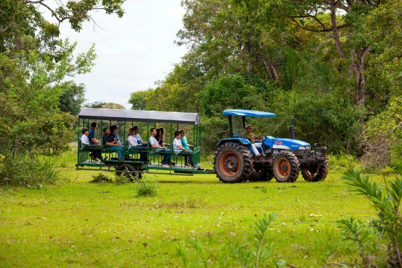 Poconé Pousada Piuval מראה חיצוני תמונה