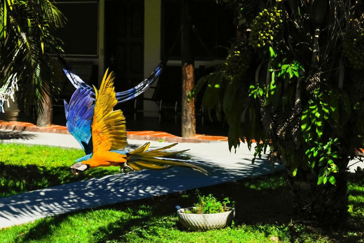 Poconé Pousada Piuval מראה חיצוני תמונה